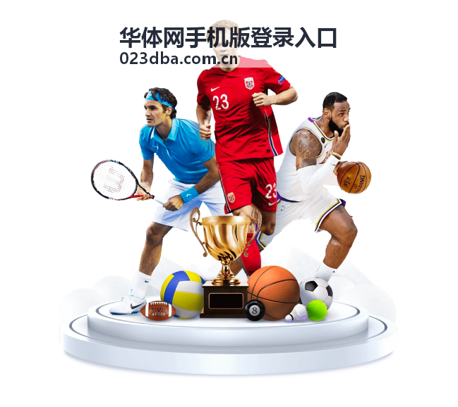 华体网手机版登录入口账号输入界面示意