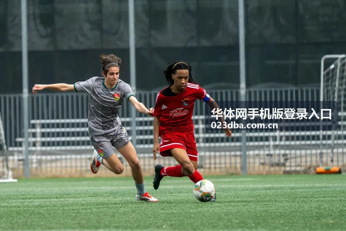 华体网手机版登录入口验证方式与安全校验说明