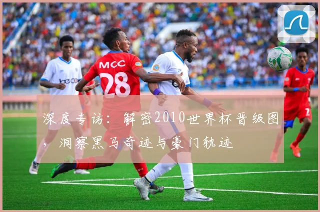 深度专访：解密2010世界杯晋级图，洞察黑马奇迹与豪门轨迹